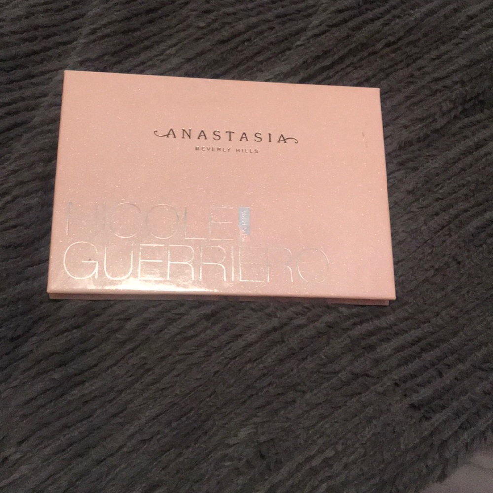 Anastasia Beverly Hills Nicole Guerrero highlight